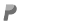 PayPal Logo